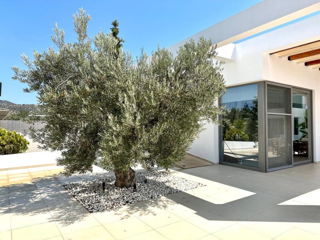 Leblanc Luxurious Beachfront Villa, Gcollectiongr Ermioni Dış mekan fotoğraf
