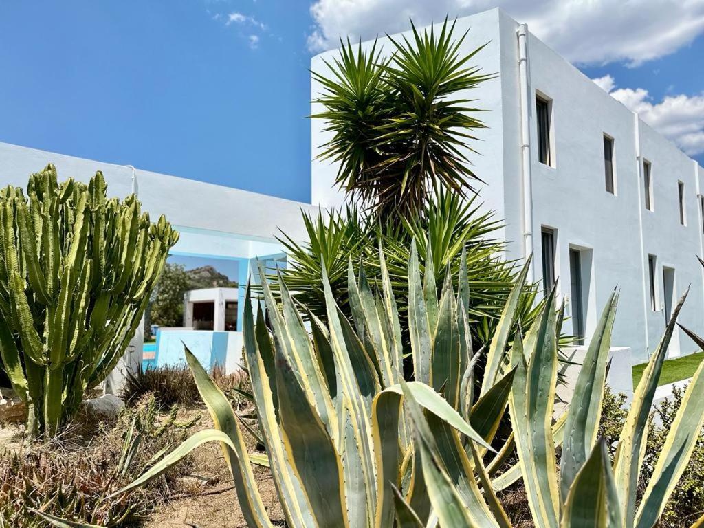 Leblanc Luxurious Beachfront Villa, Gcollectiongr Ermioni Dış mekan fotoğraf