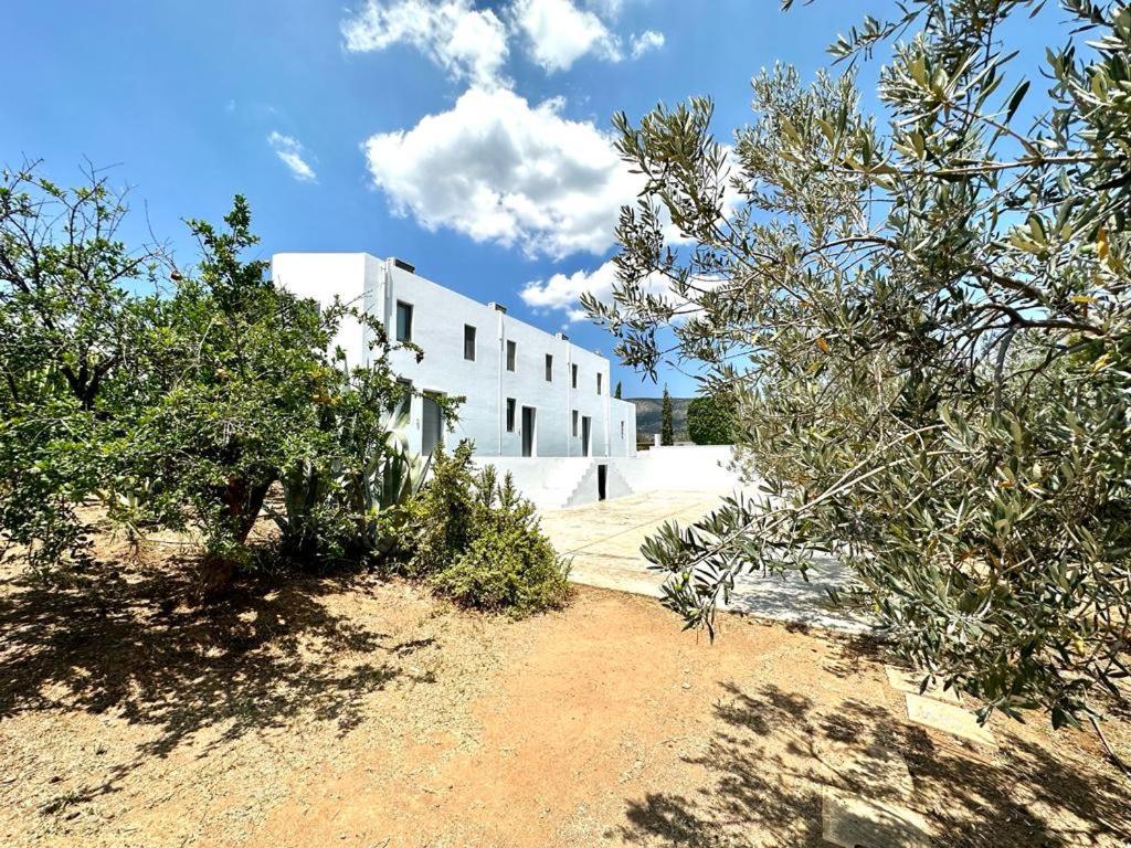 Leblanc Luxurious Beachfront Villa, Gcollectiongr Ermioni Dış mekan fotoğraf